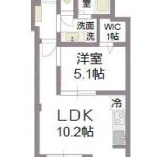 新築　賃貸マンション　綱島樽町　ラシーネ